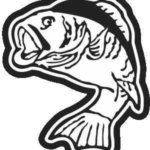 Bass Fish