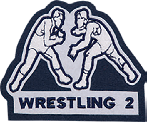 Wrestling 2