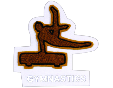 Gymnastics 2